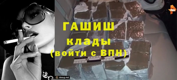 эйфоретик Аша